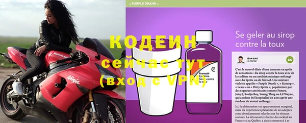 эйфоретик Алзамай