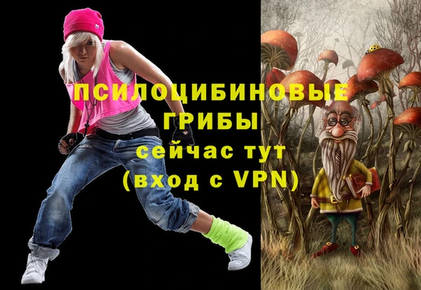 эйфоретик Алзамай