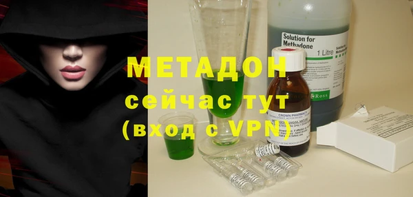 индика Алексин