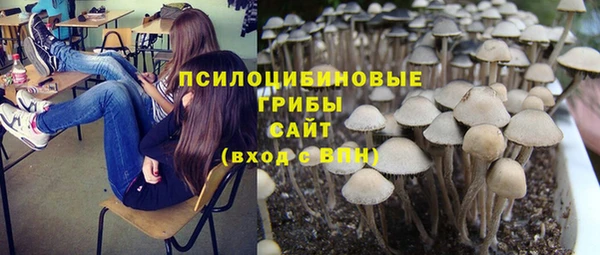 индика Алексин