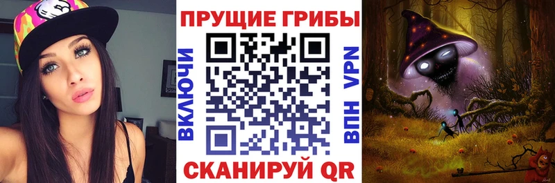 Псилоцибиновые грибы мицелий Красногорск